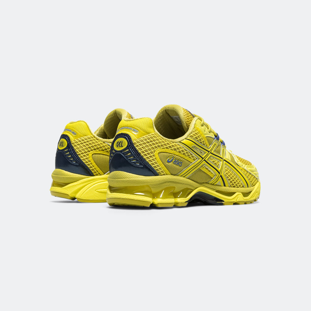 Gel-Nimbus 10.1 Asics оригінал – Купити в Україні – детальний вид