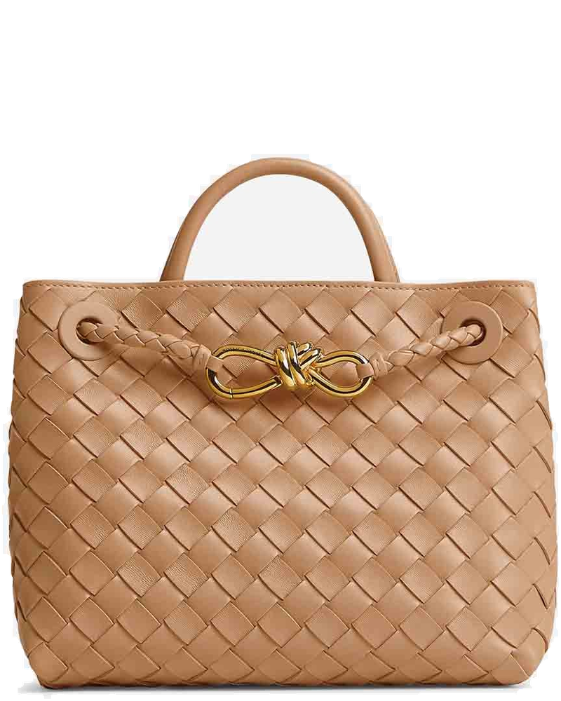 Small Andiamo Bag Bottega veneta – Гарантія оригінальності