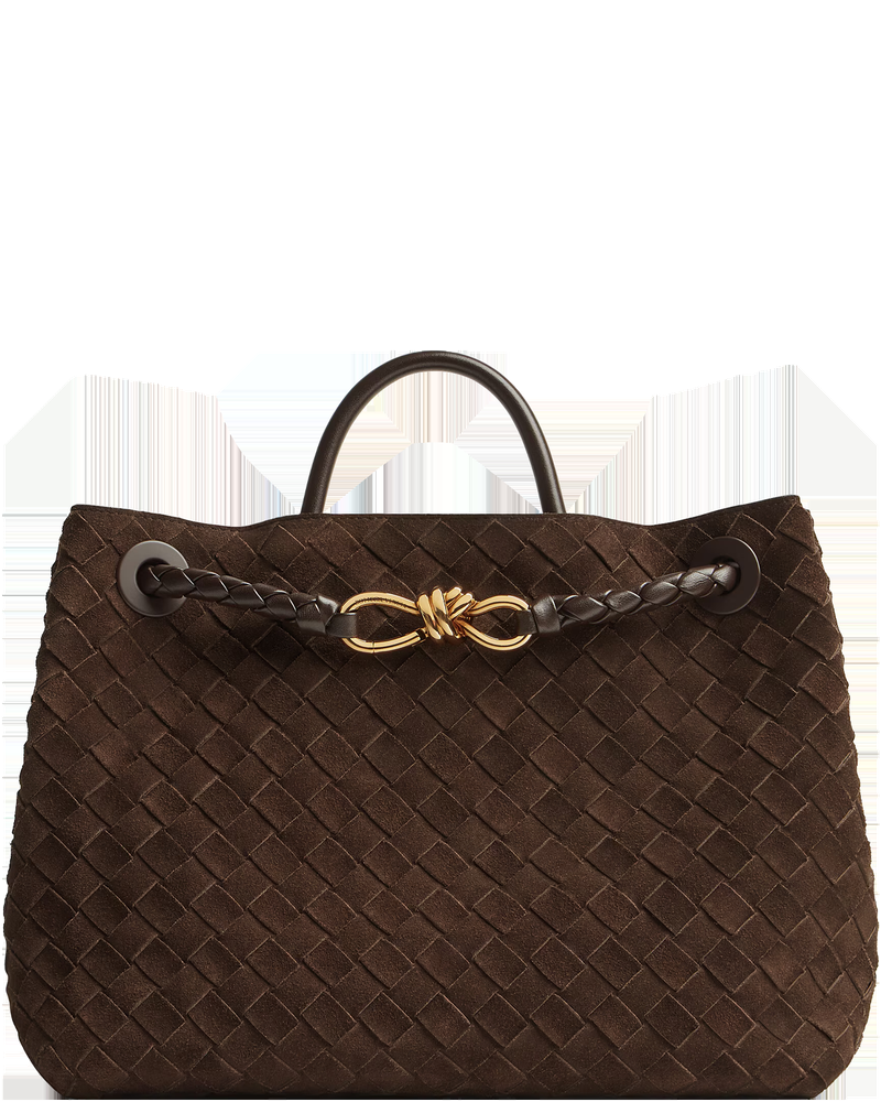 Medium Andiamo Bag Bottega veneta – Гарантія оригінальності
