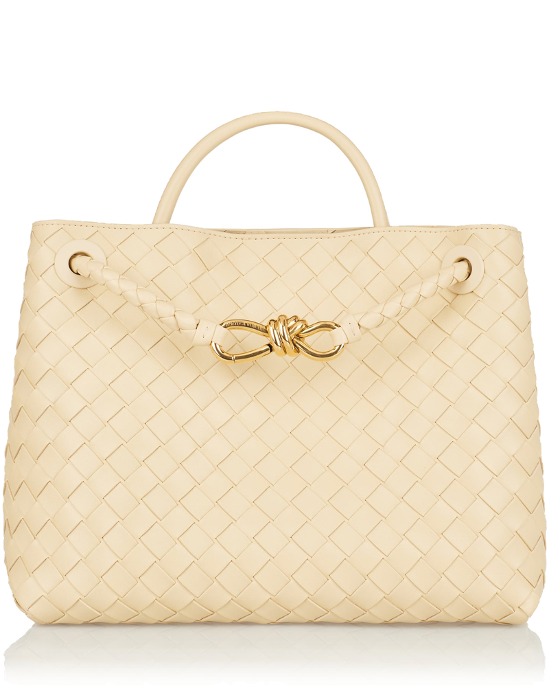 Оригінальна Andiamo Intrecciato Leather Tote Bag Bottega veneta