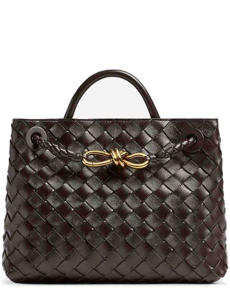 Small Andiamo Bag Bottega veneta – Гарантія оригінальності