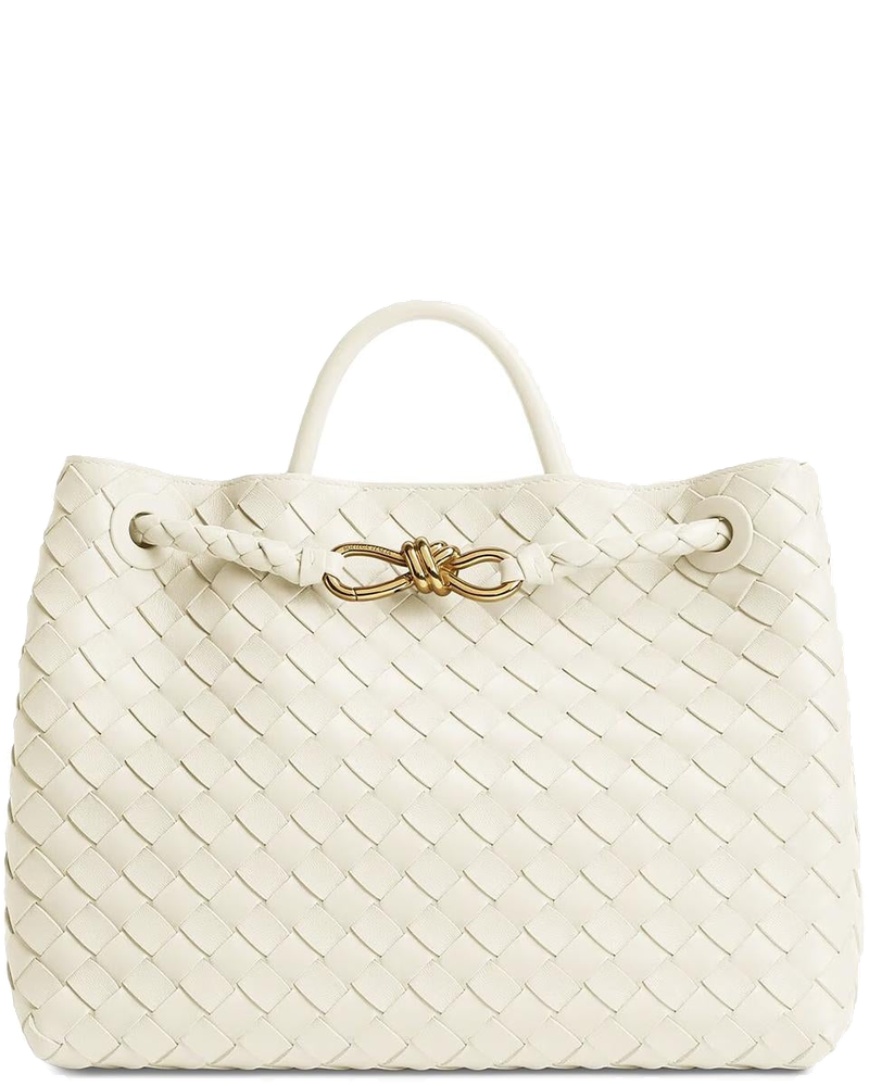 Borsa Andiamo Media In Pelle Bottega veneta оригінал – Купити в Україні