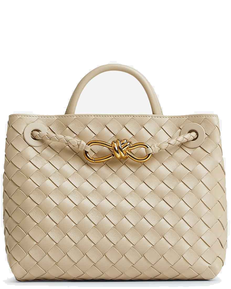 Small Andiamo Bag Bottega veneta – Гарантія оригінальності