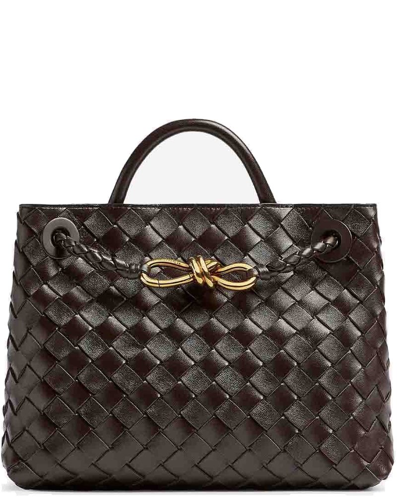 Оригінальна Andiamo Bag Bottega veneta