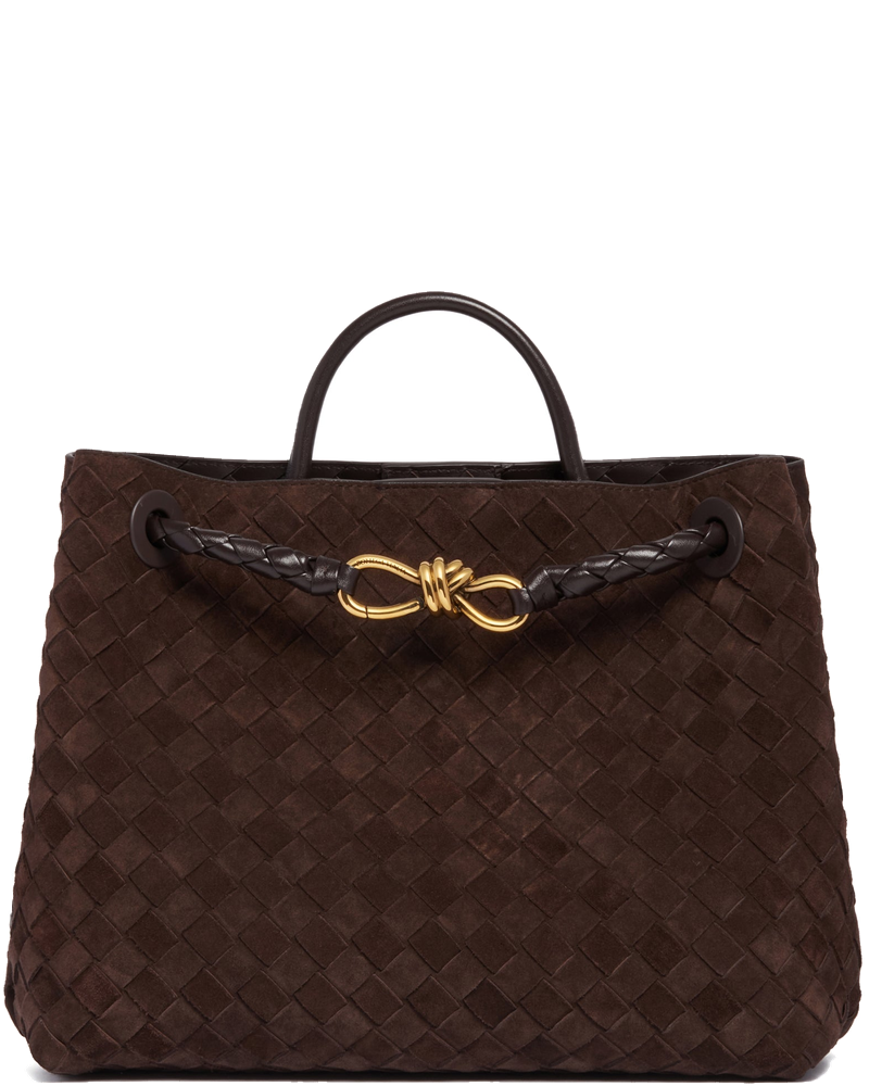Bottega veneta Bags оригінал | Швидка доставка Україна