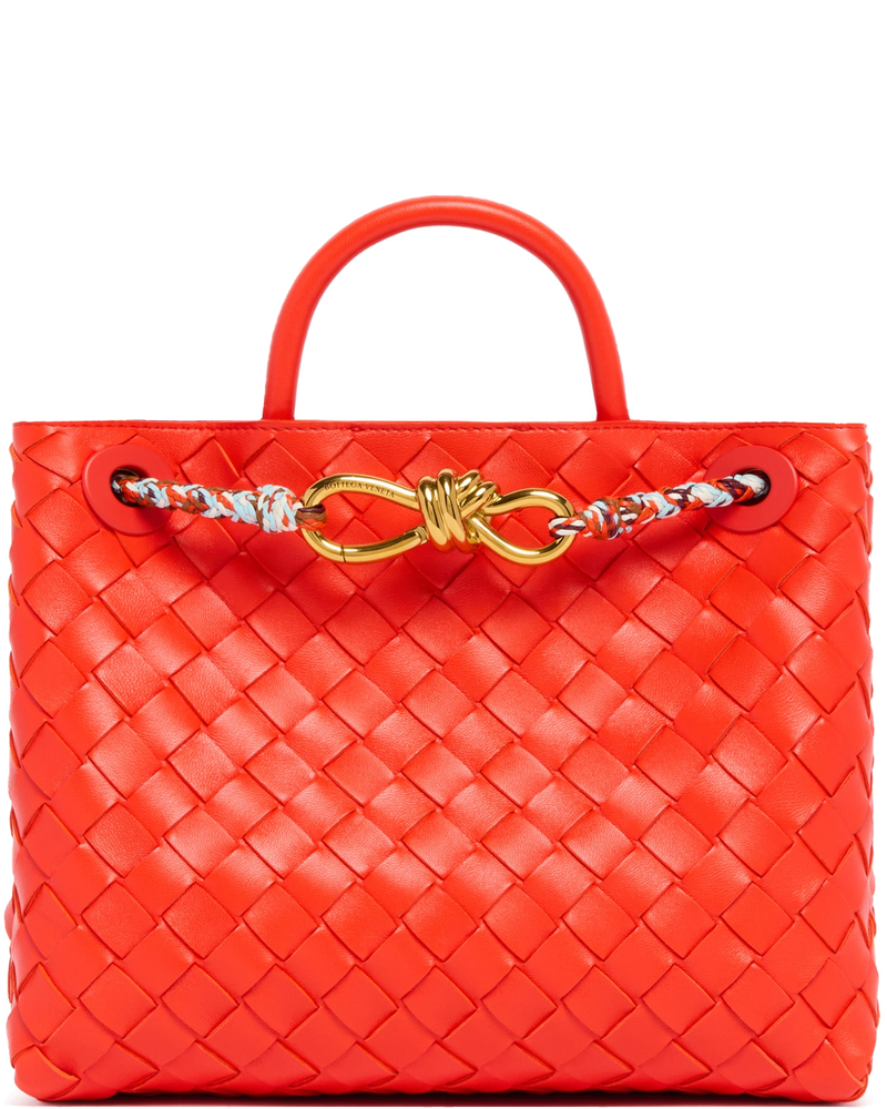 Orange Small Andiamo Bag Bottega veneta оригінал – Купити в Україні