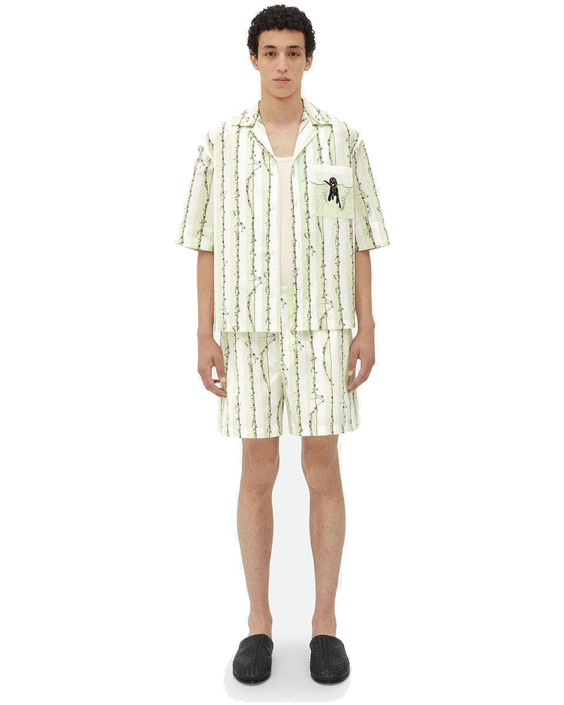 Bermuda Swimmers Motif Bottega veneta – Гарантія оригінальності