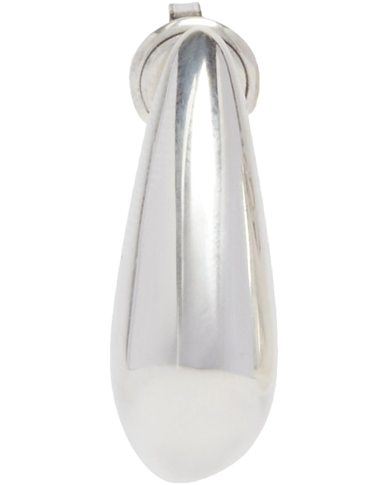 Silver Fin Mini Earrings Bottega veneta – Гарантія оригінальності
