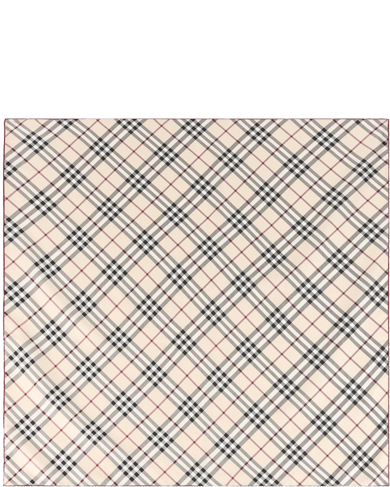 Burberry Accessories оригінал | Швидка доставка Україна