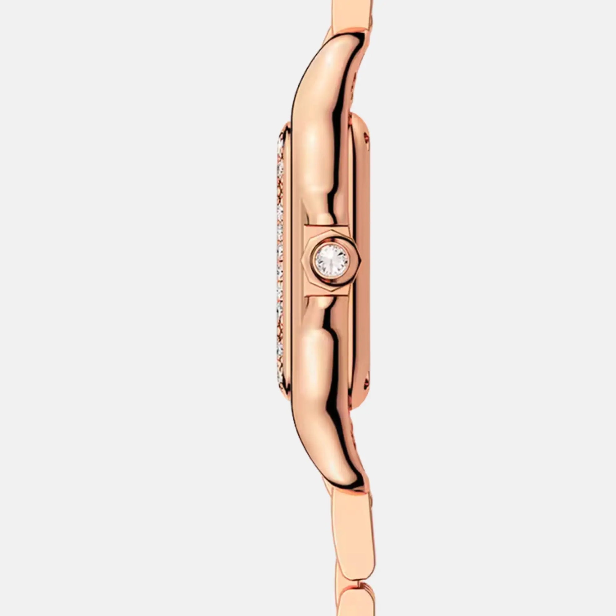 Panthere Small Model Rose Gold Diamond Set Wjpn0008 Cartier – Гарантія оригінальності – детальний вид