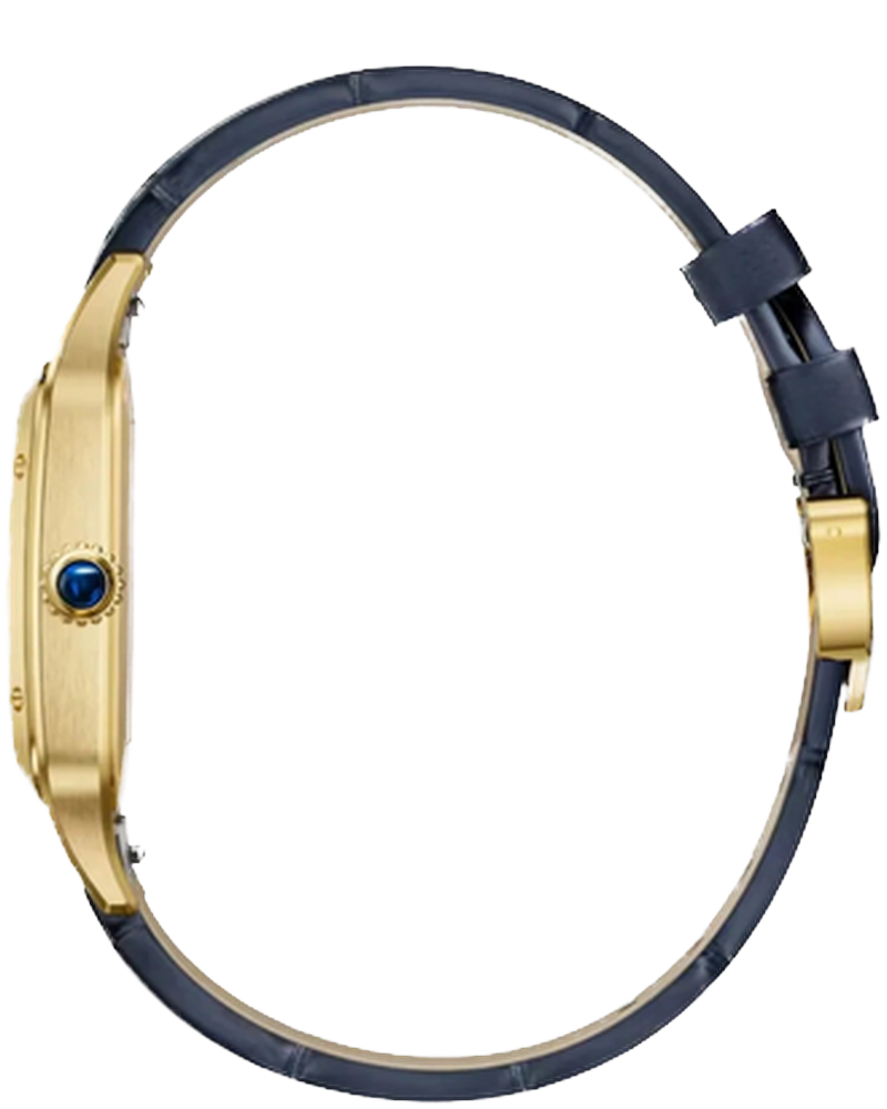 Cartier catalog cutout [bg_removed_catalog]