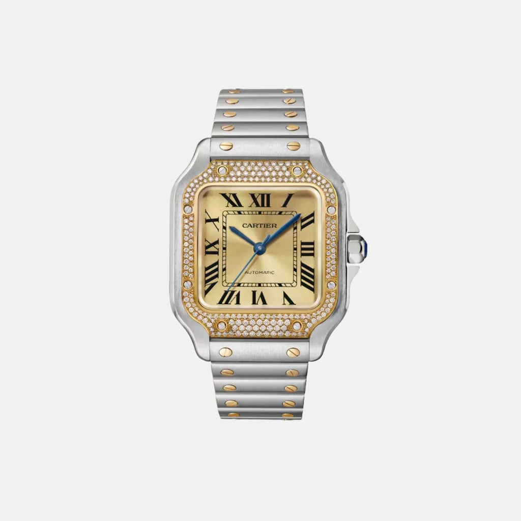Cartier Jewelry & Watches оригінал | Швидка доставка Україна – боковий вид
