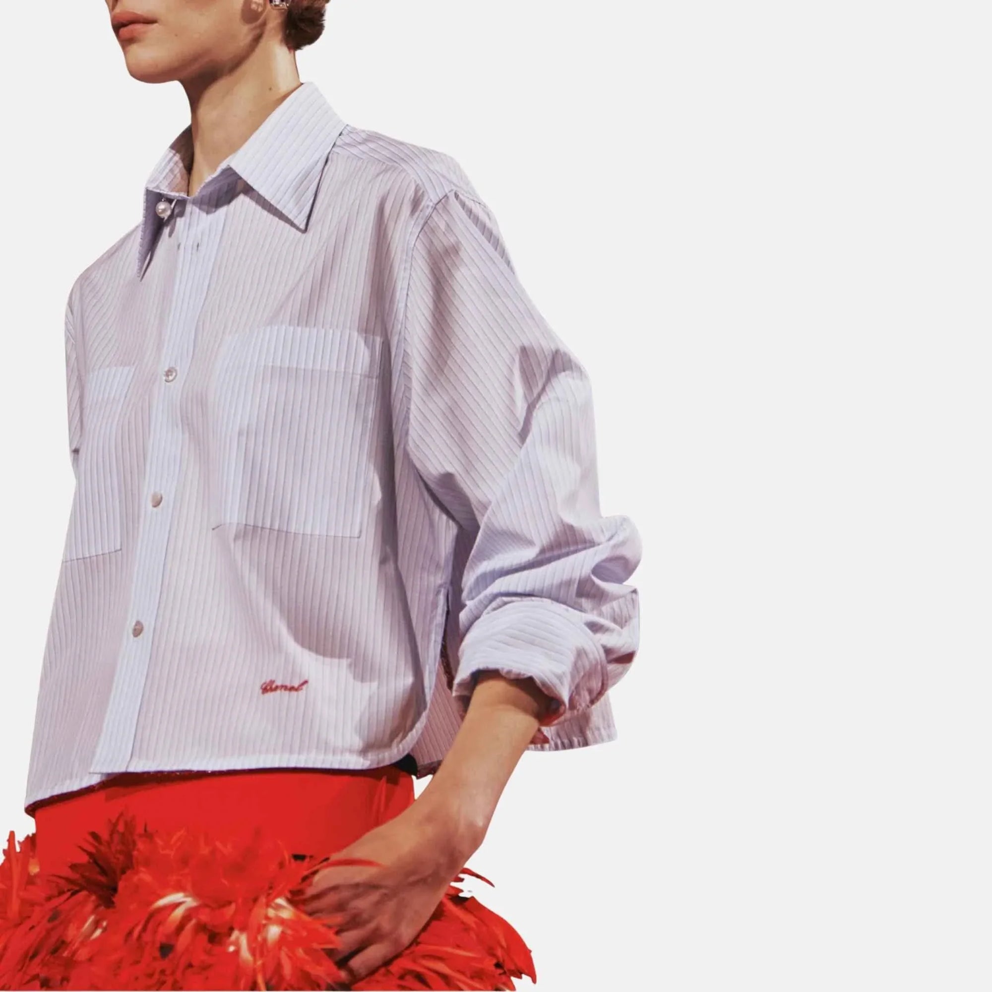 Long Sleeved Shirt Cotton Poplin Blue White Chanel – Гарантія оригінальності – вид ззаду