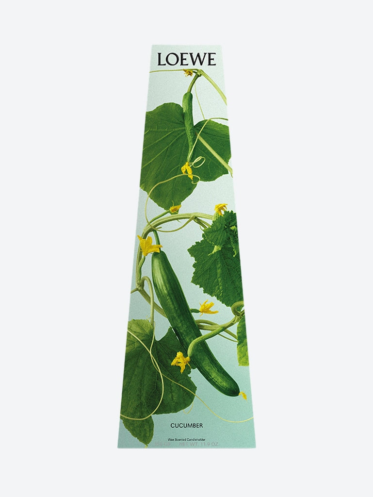 Оригінальна Cucumber Wax Candleholder Loewe – вид ззаду