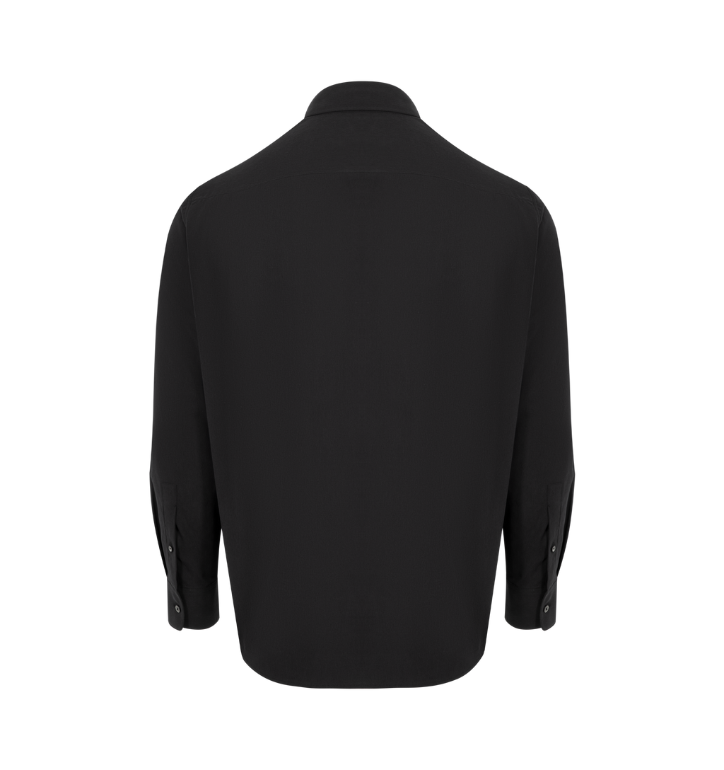 Briar Silk Shirt The row оригінал – Купити в Україні – вид ззаду