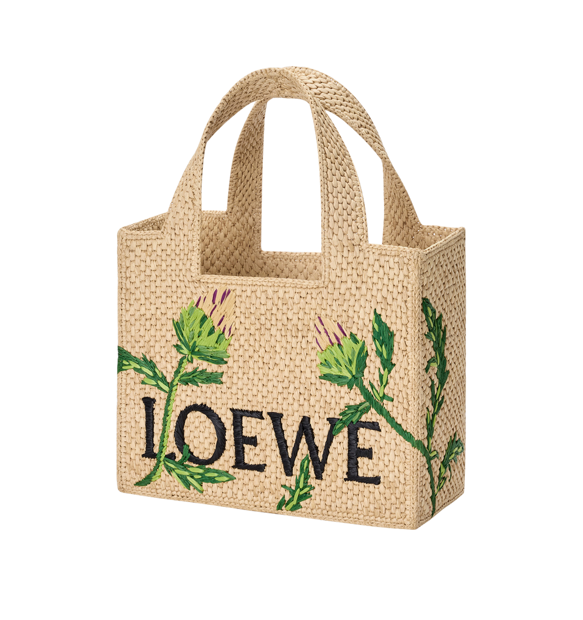 Оригінальна Font Tote Artichoke S Loewe – вид ззаду