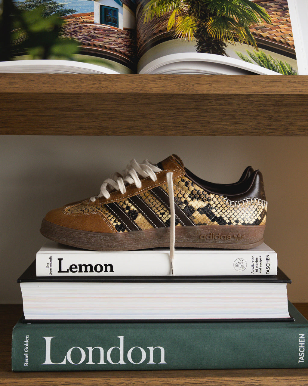 Adidas Footwear оригінал | Швидка доставка Україна – вид ззаду
