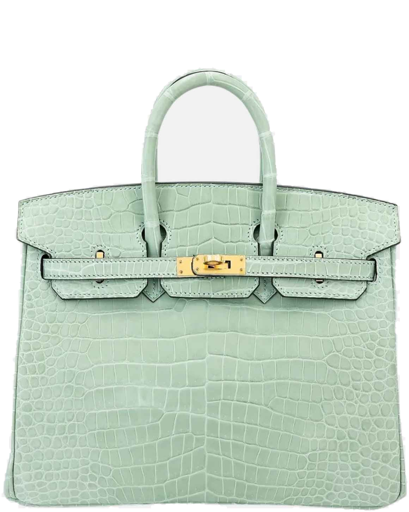 Оригінальна Birkin 25 Matte Porosus Crocodile Vert Deau Ghw Hermes
