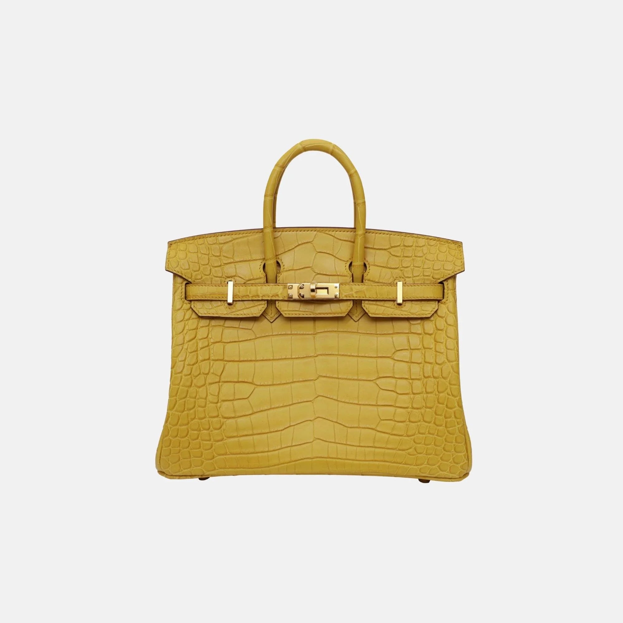 Оригінальна Birkin 25 Jaune Ambre Matte Alligator Ghw Hermes – боковий вид