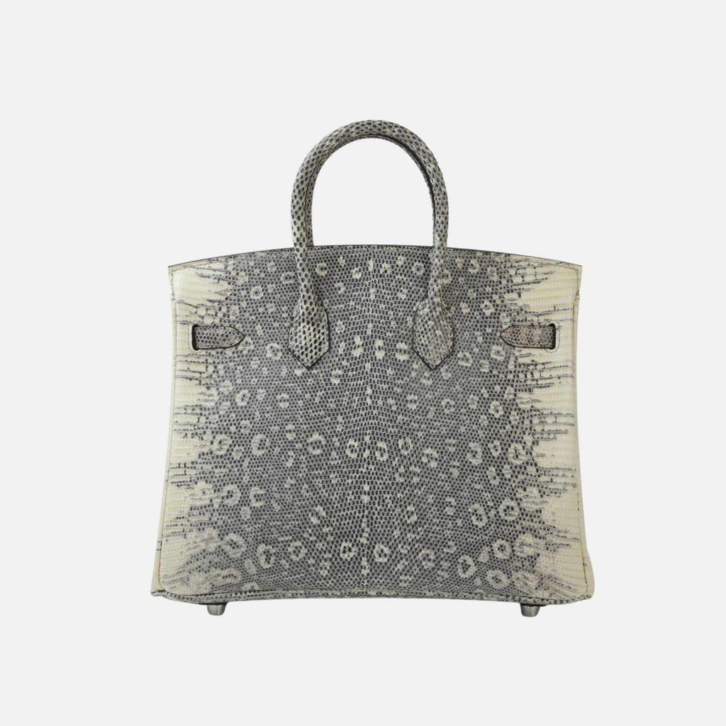 Birkin 25 Lizard Ombre Phw Hermes оригінал – Купити в Україні – вид ззаду