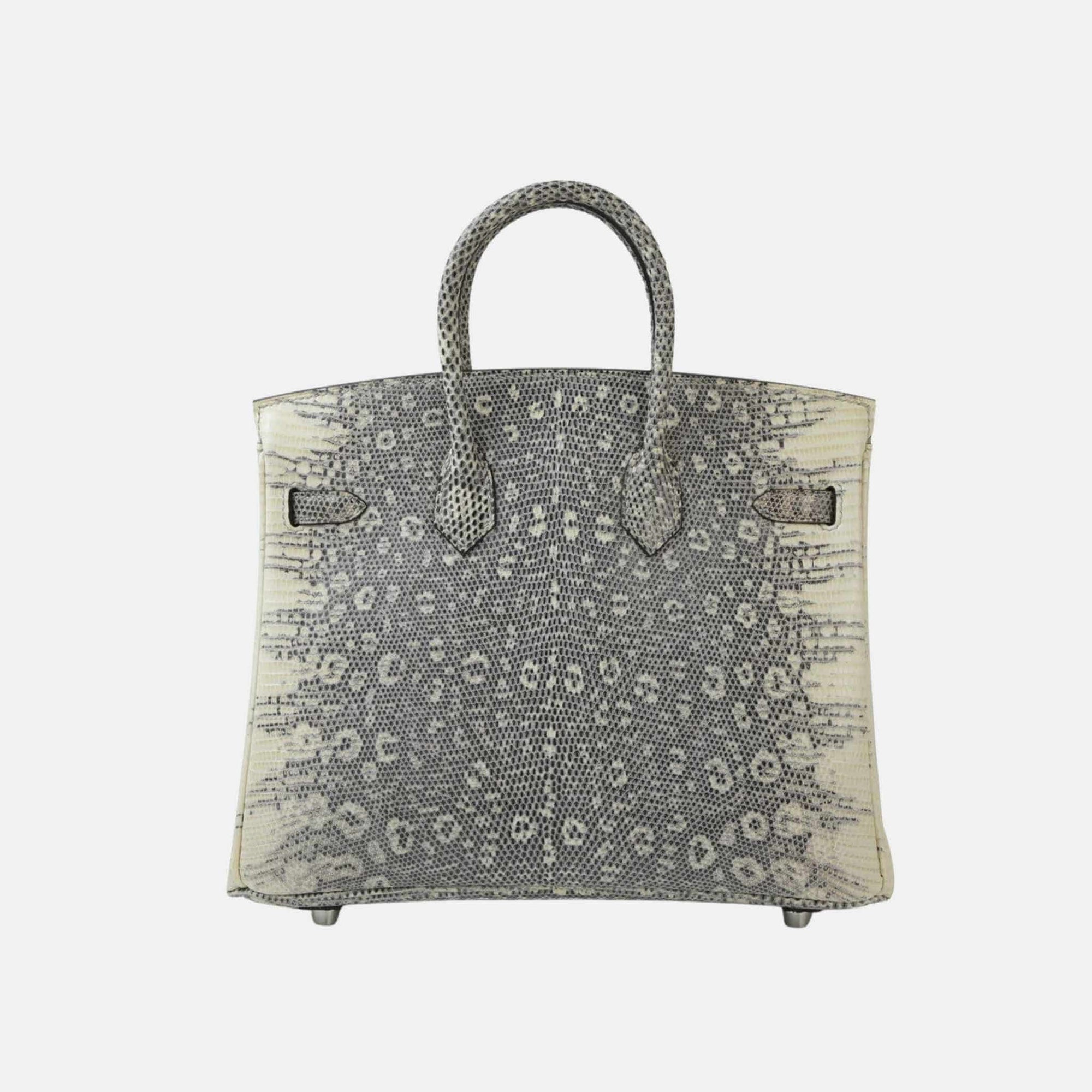 Birkin 25 Lizard Ombre Phw Hermes оригінал – Купити в Україні – вид ззаду