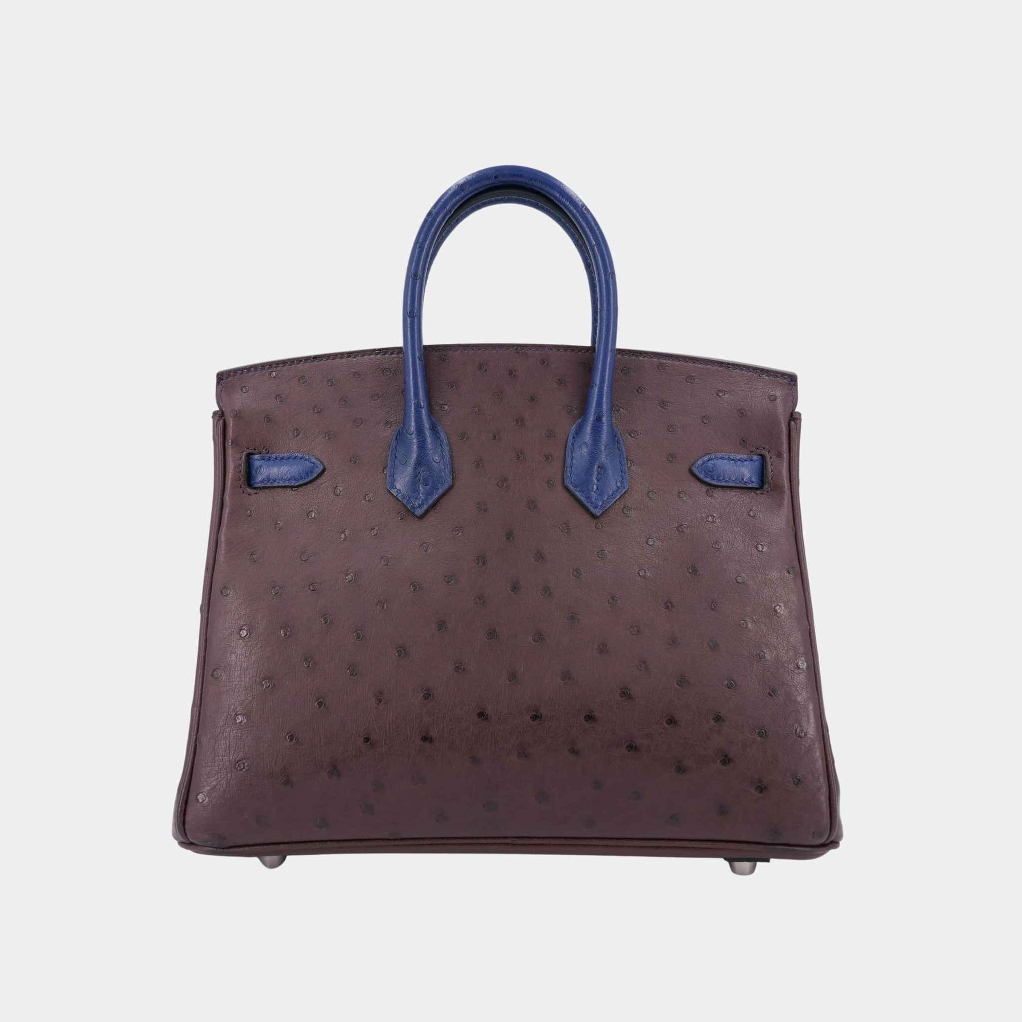 Birkin 25 Ostrich Rouge Sellier Hermes – Гарантія оригінальності – вид ззаду