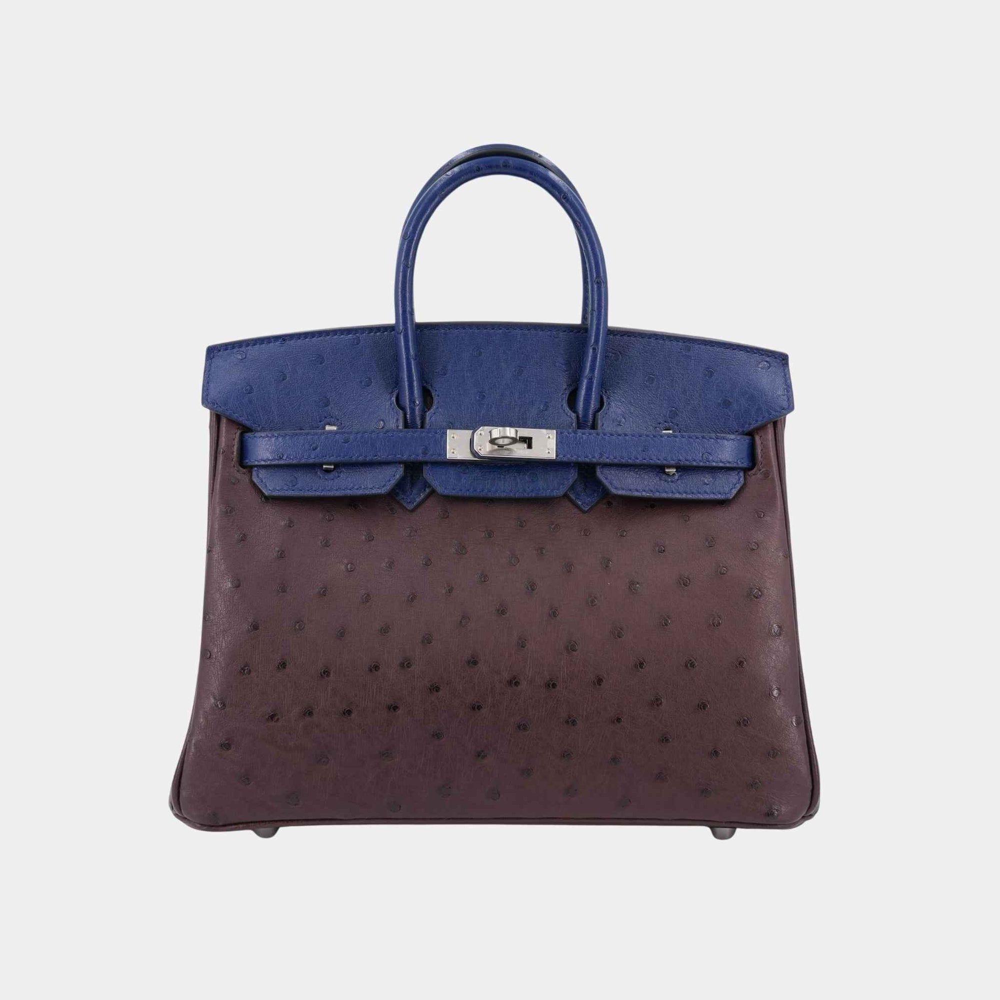 Birkin 25 Ostrich Rouge Sellier Hermes – Гарантія оригінальності – боковий вид