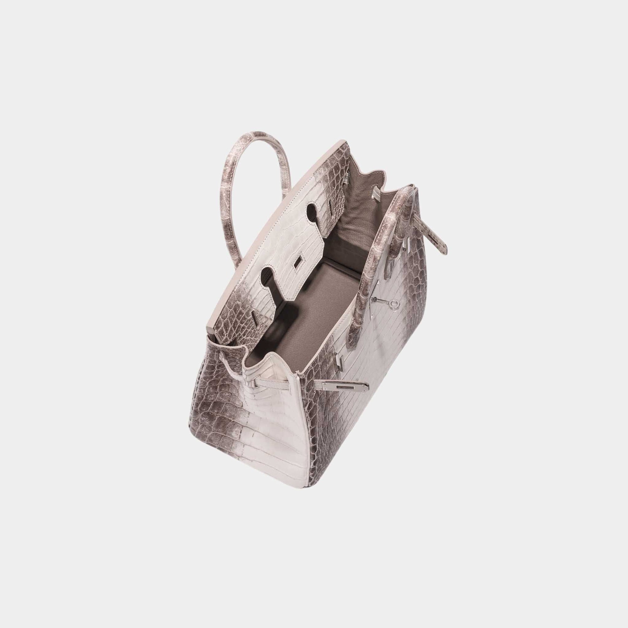 Birkin 30 Matte Alligator Himalaya Blanc Phw Hermes – Гарантія оригінальності – вид ззаду