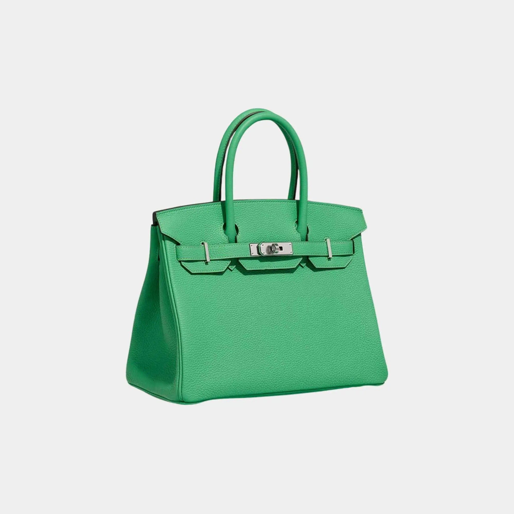 Оригінальна Birkin 30 Togo Vert Comics Phw Hermes – вид ззаду