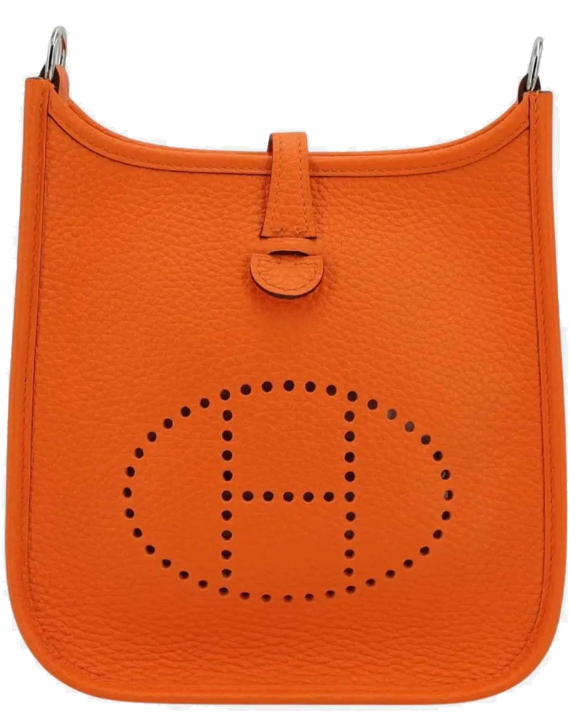 Mini Evelyne Tpm Amazone 98 Clemence Feu Phw Hermes – Гарантія оригінальності