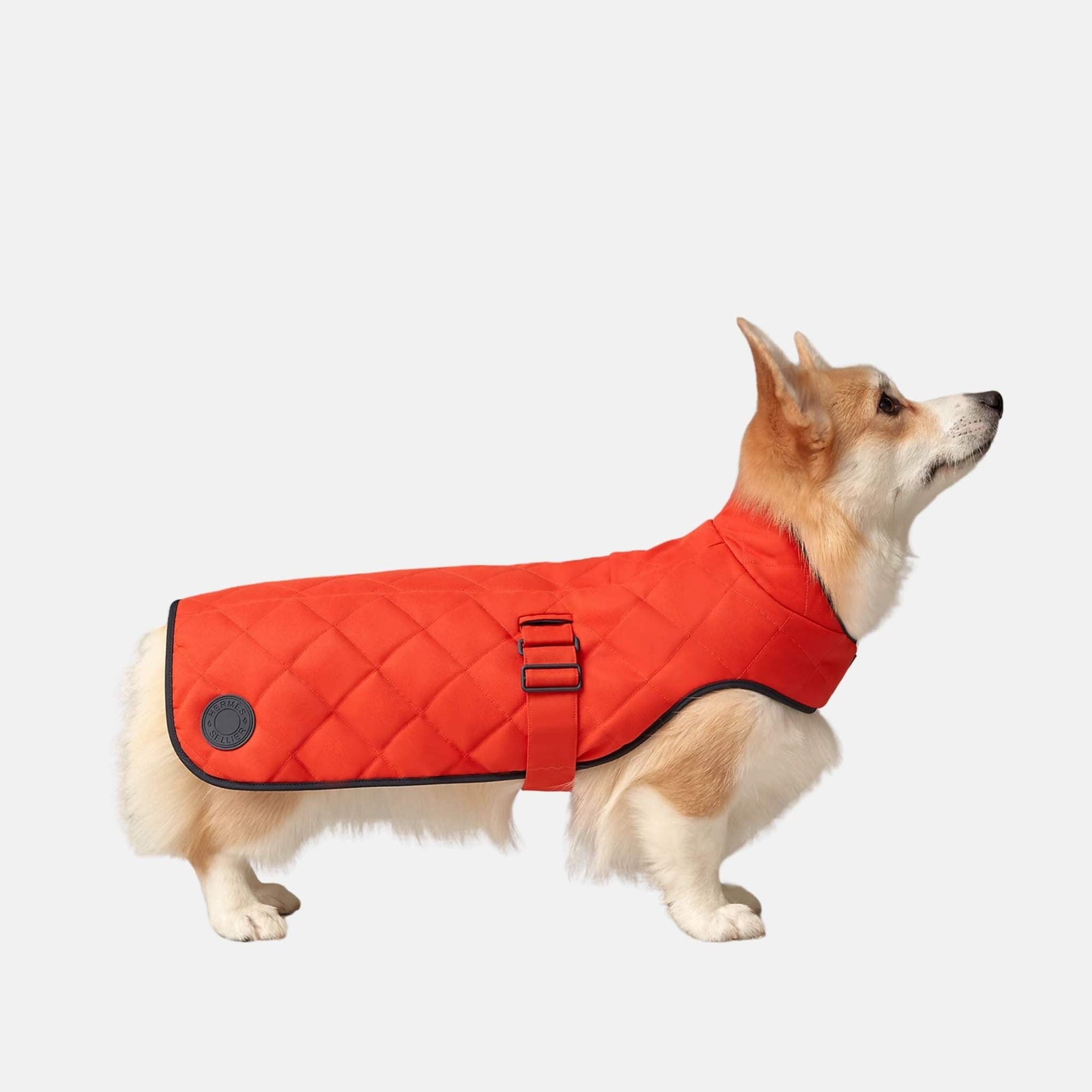 Luxury Dog Coat In Polyester Hermes оригінал – Купити в Україні – боковий вид