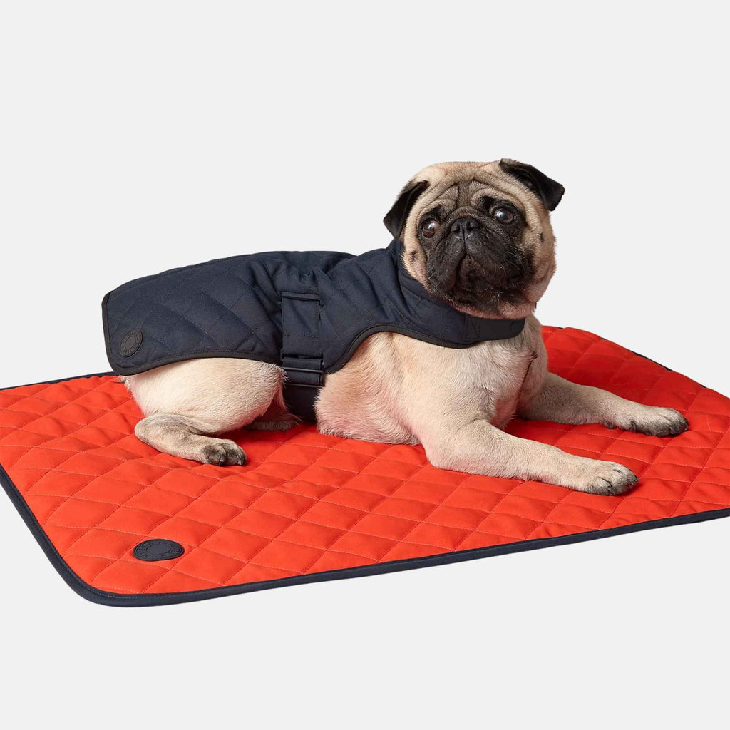 Luxury Dog Coat In Polyester Hermes оригінал – Купити в Україні – вид ззаду