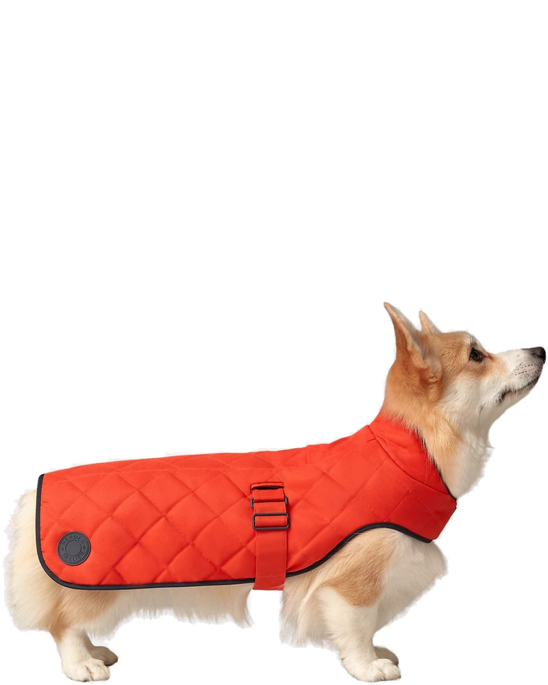 Luxury Dog Coat In Polyester Hermes оригінал – Купити в Україні