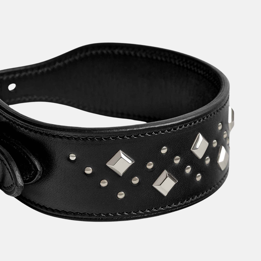 Punch Luxury Dog Collar Hermes оригінал – Купити в Україні – вид ззаду