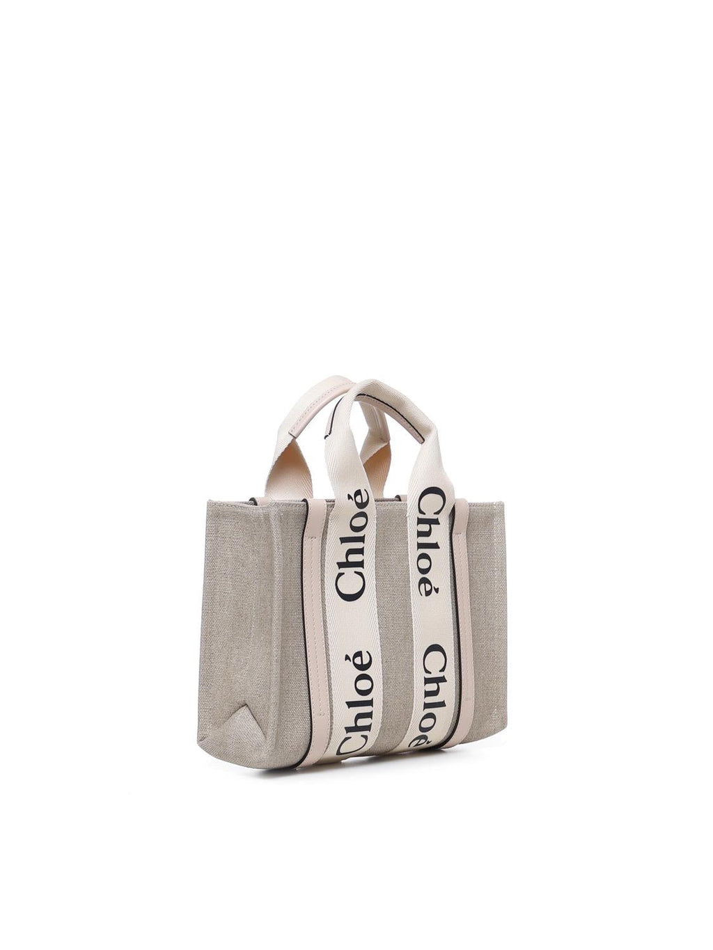 Mini Bag Woody Chloe оригінал – Купити в Україні – вид ззаду