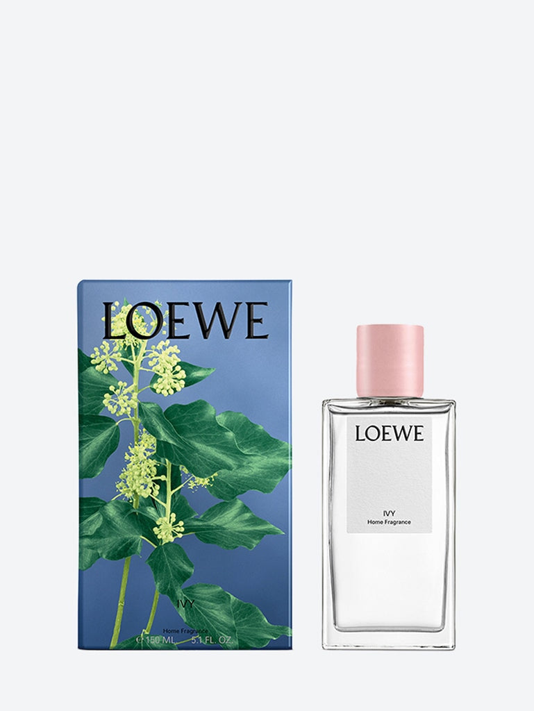 Ivy Home Spray Loewe оригінал – Купити в Україні – вид ззаду