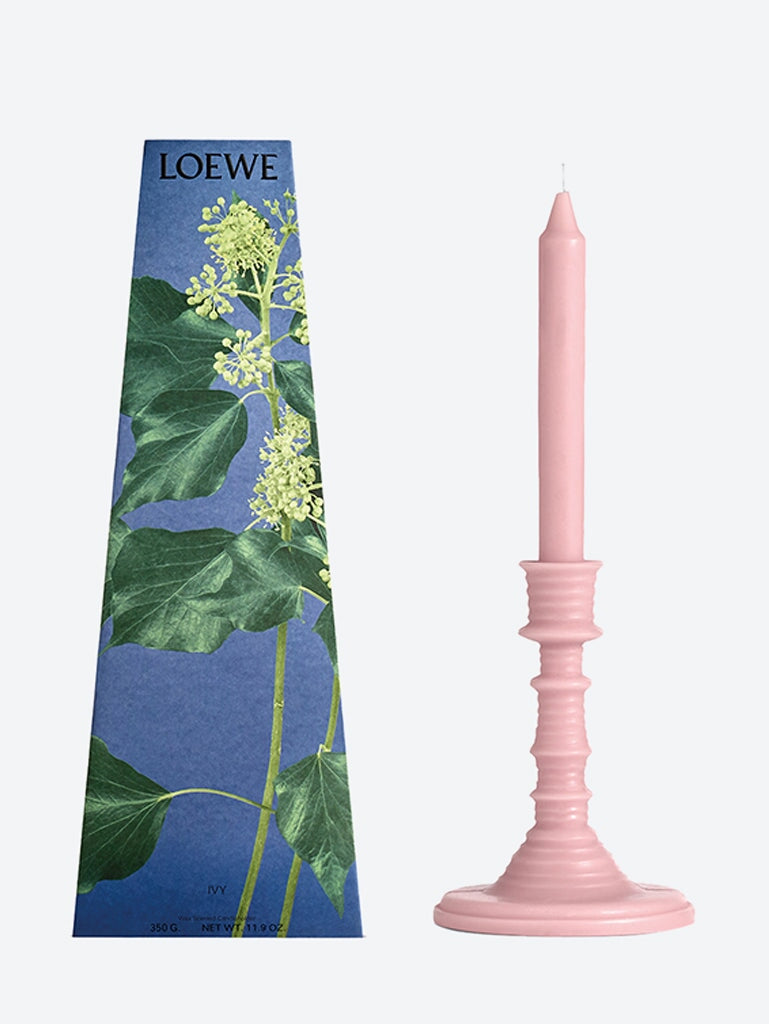 Ivy Wax Candleholder Loewe – Гарантія оригінальності – вид ззаду