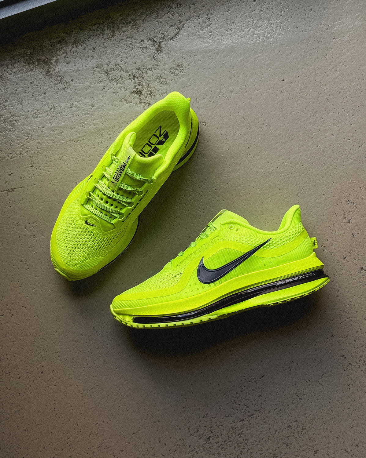 Оригінальна Pegasus Premium Nike – вид ззаду
