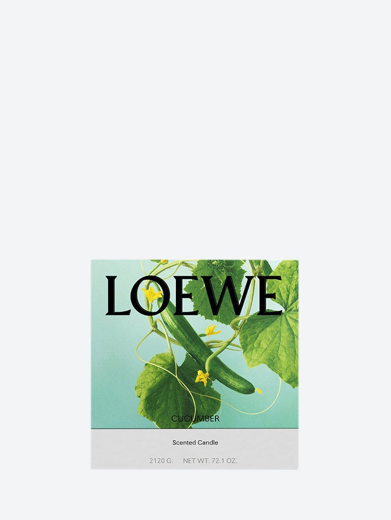 Оригінальна Large Cucumber Ceramic Candle Loewe – вид ззаду