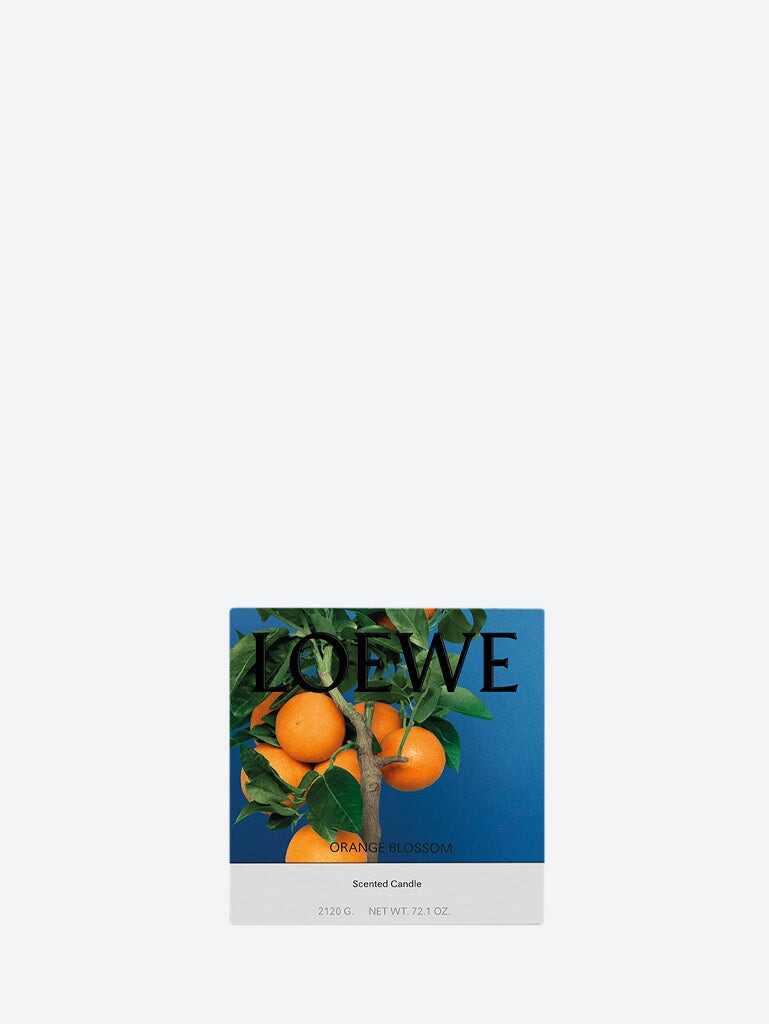 Оригінальна Large Orange Blossom Ceramic Candle Loewe – вид ззаду