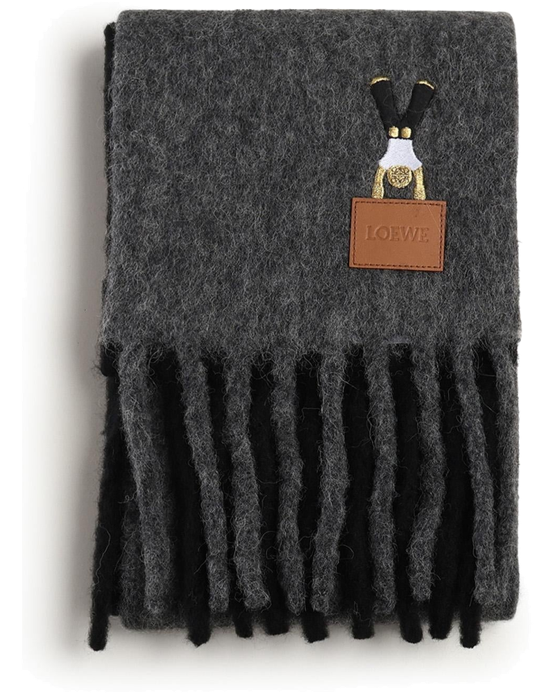 Loewe Accessories оригінал | Швидка доставка Україна