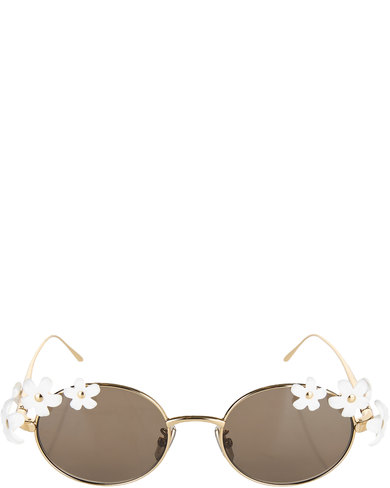 Оригінальна Daisy Field Sunglasses Loewe