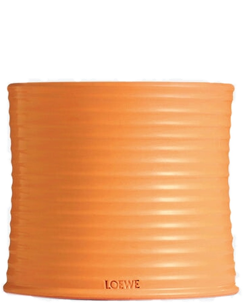 Оригінальна Large Orange Blossom Ceramic Candle Loewe