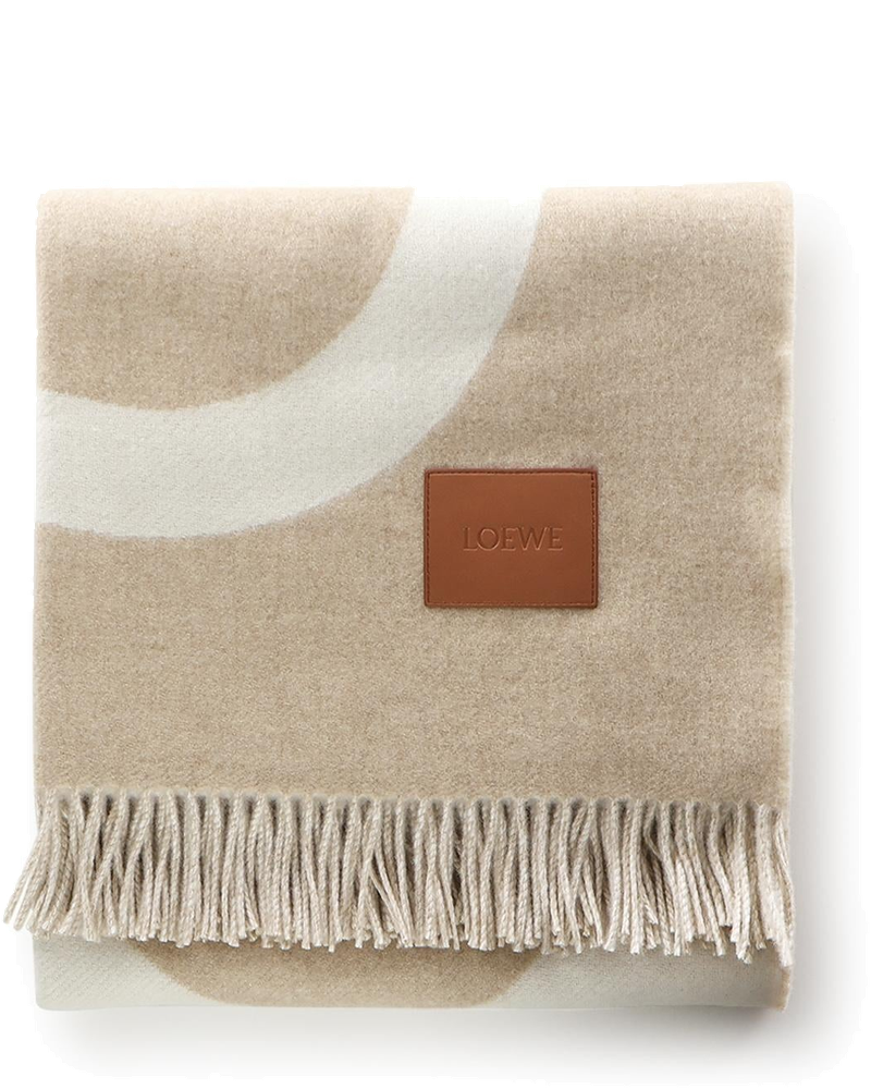 Loewe Knitwear оригінал | Швидка доставка Україна