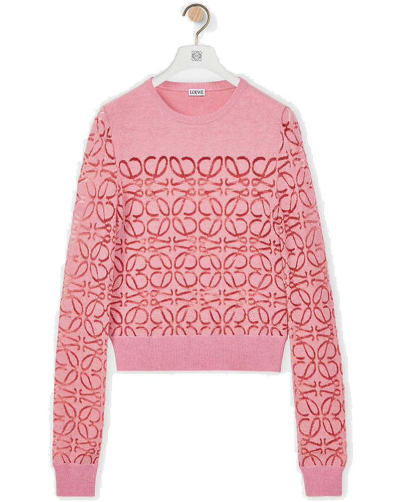 Оригінальна Pink Anagram Devore Sweater Loewe