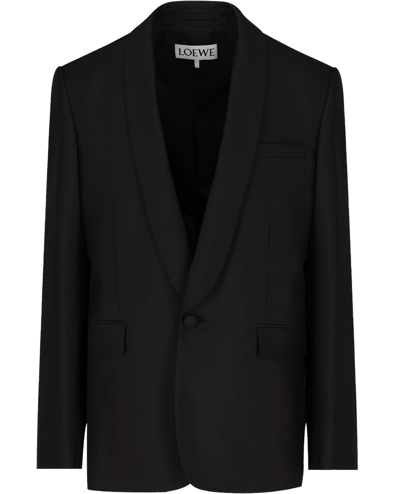 Wool And Silk Jacket Loewe оригінал – Купити в Україні