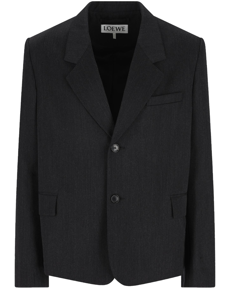 Loewe Outerwear оригінал | Швидка доставка Україна