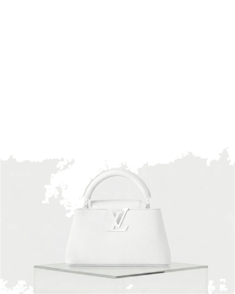 Louis vuitton Bags оригінал | Швидка доставка Україна