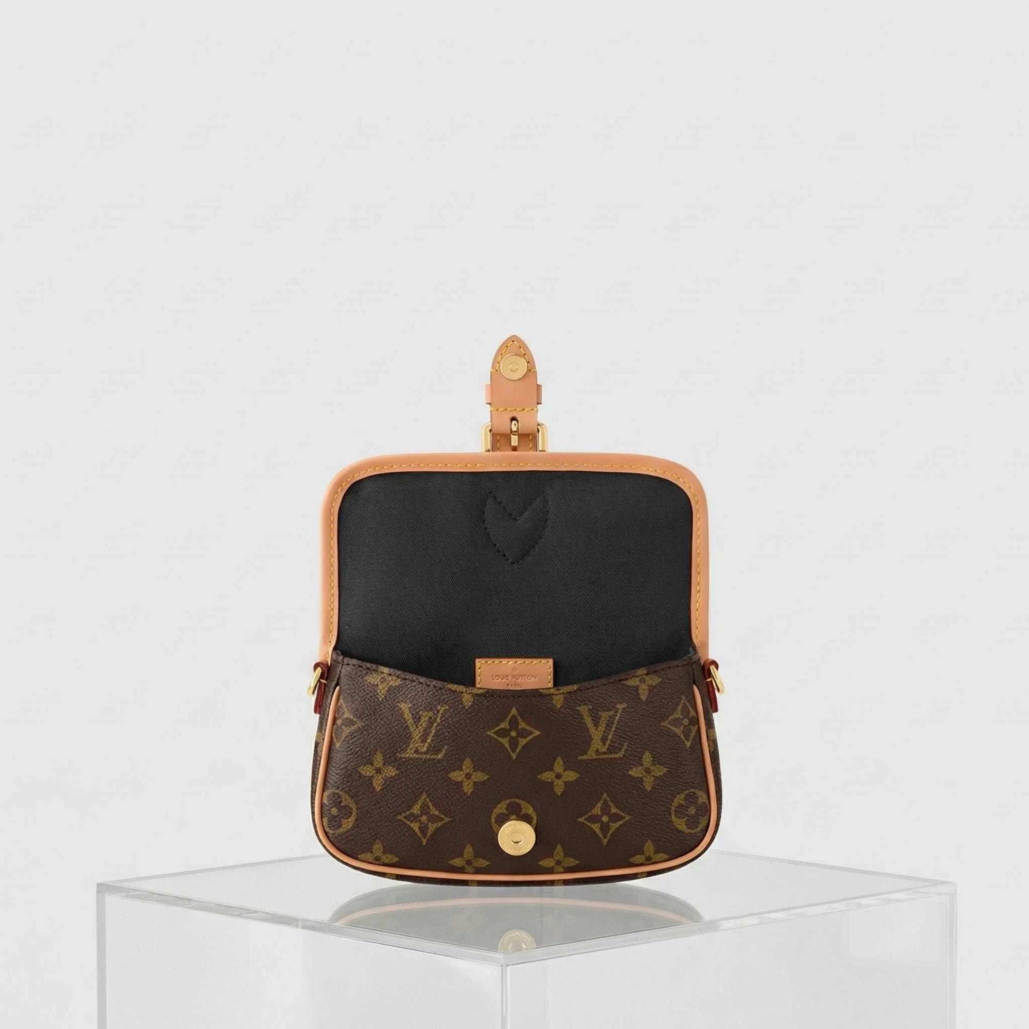 Nano Diane Handbag Monogram Canvas Louis vuitton – Гарантія оригінальності – вид ззаду