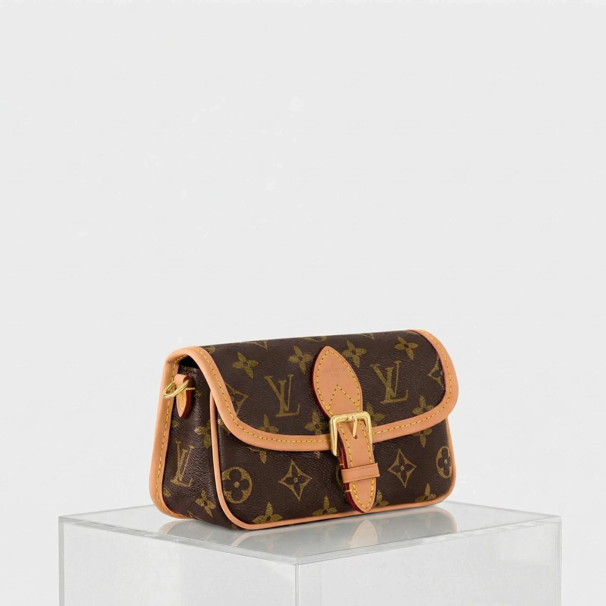 Nano Diane Handbag Monogram Canvas Louis vuitton – Гарантія оригінальності – детальний вид